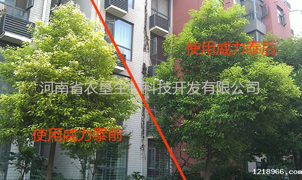 下载点点taptap网址