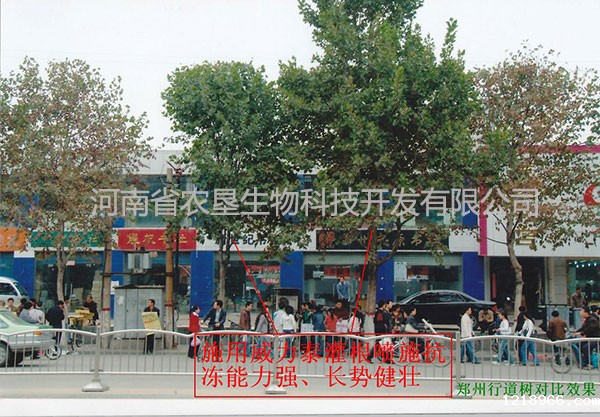 下载点点taptap网址